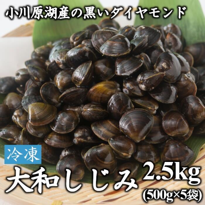 青森県 小川原湖産 冷凍しじみ 500g×5袋（2.5kg）【送料無料