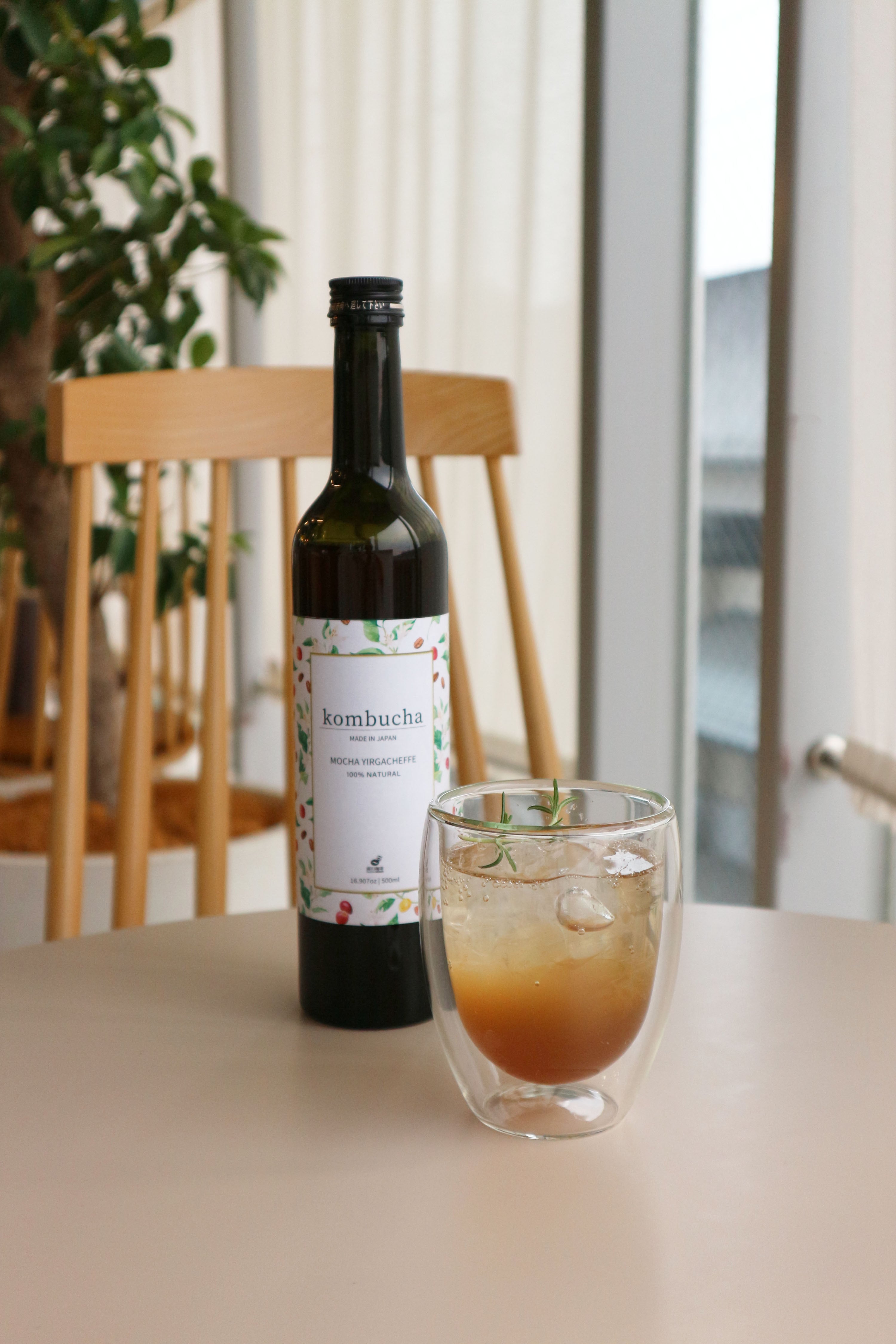 送料無料】Coffee kombucha 500ml 化粧箱入 | kombucha2025