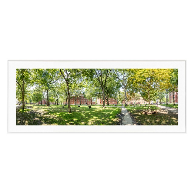 アメリカ写真 ハーバード大学 ハーバードヤード インテリアアートパノラマ横長額装 AS4263