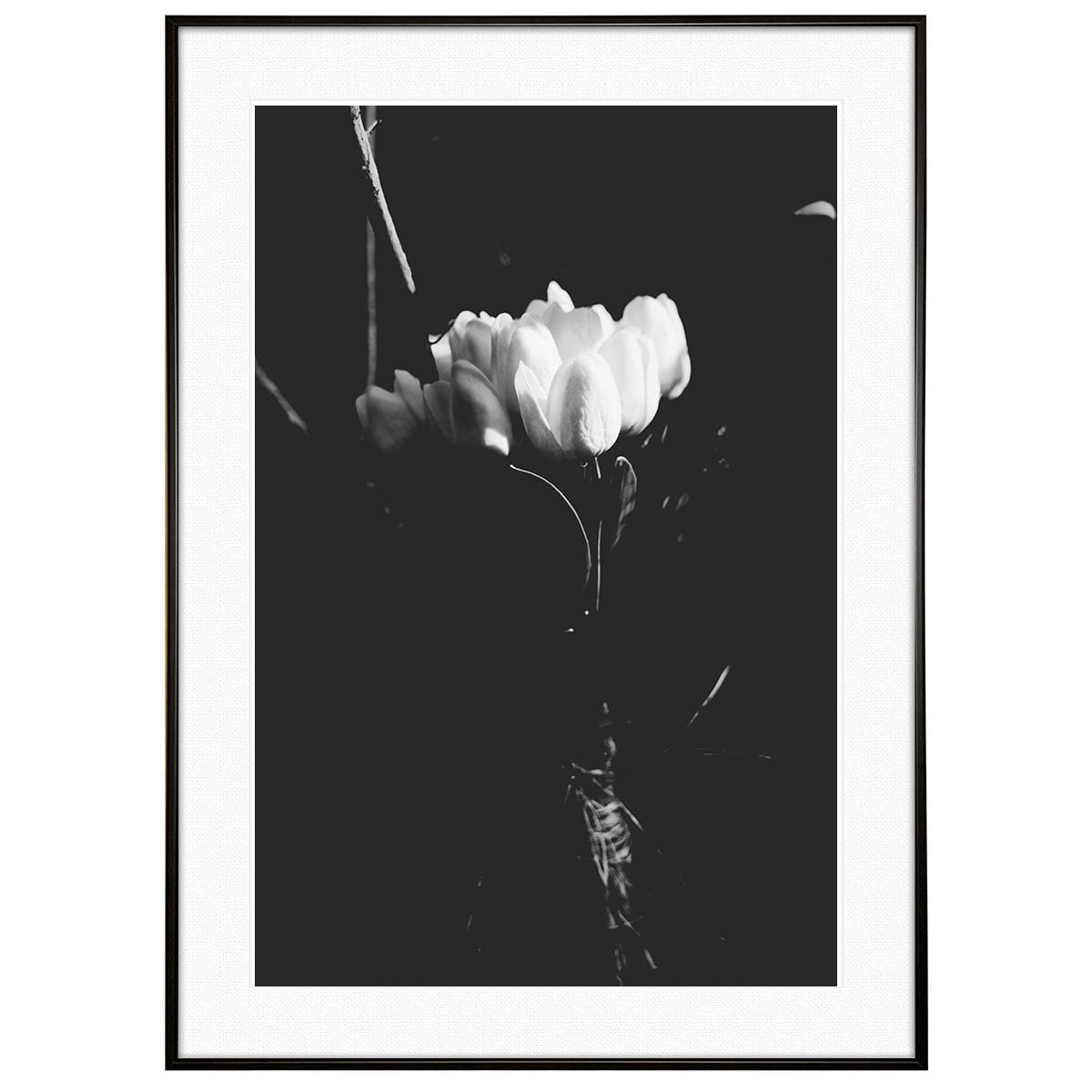 チュ－リップ モノクロ原画 3da3e32b2eb111f1224d0164cc1cc3