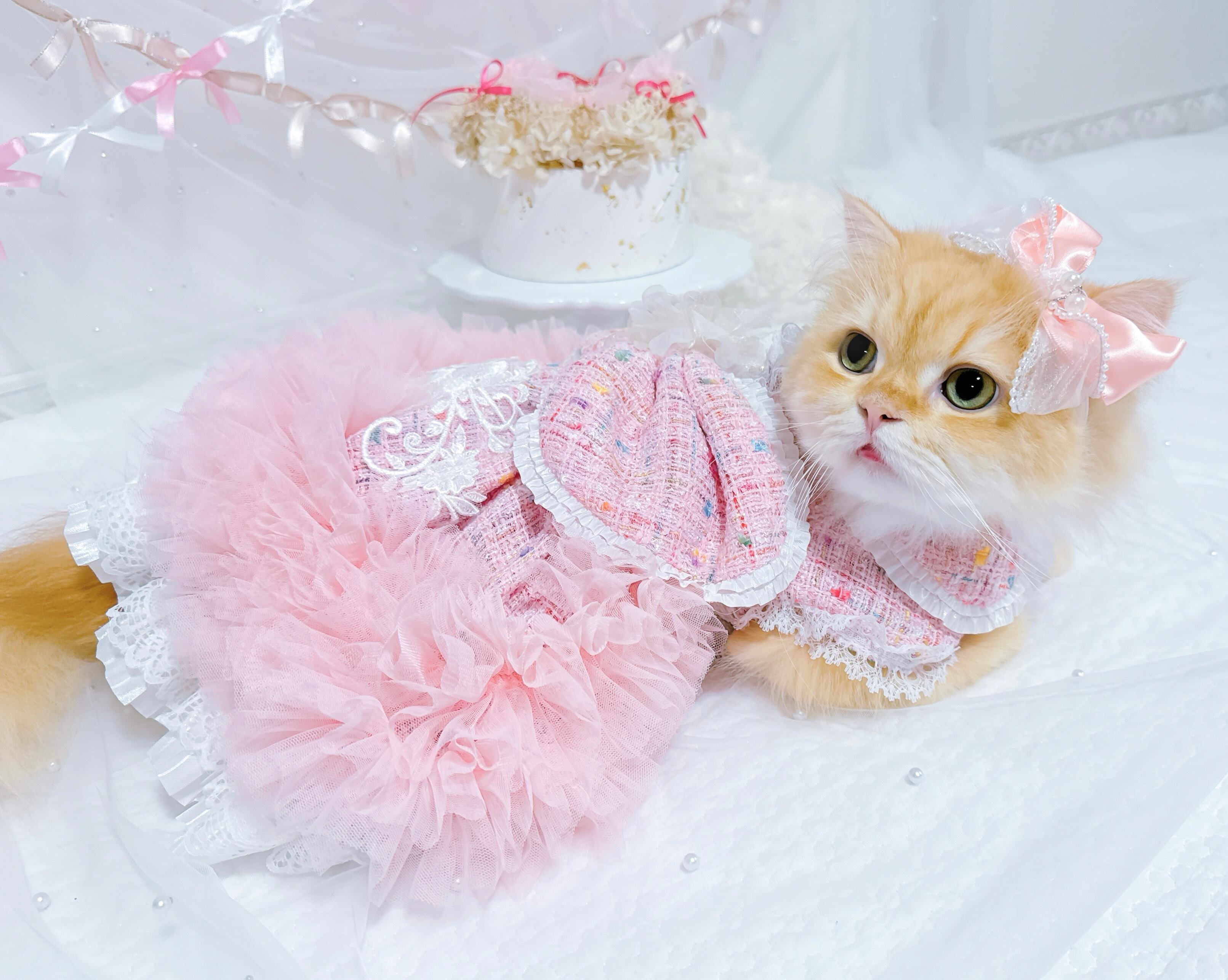 AMERI ADORABLE BACK RIBBON TWEED DRESS新品 ADORABLE BACK RIBBON TWEED DRESS