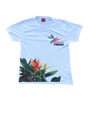 STRELITZIA BIRD