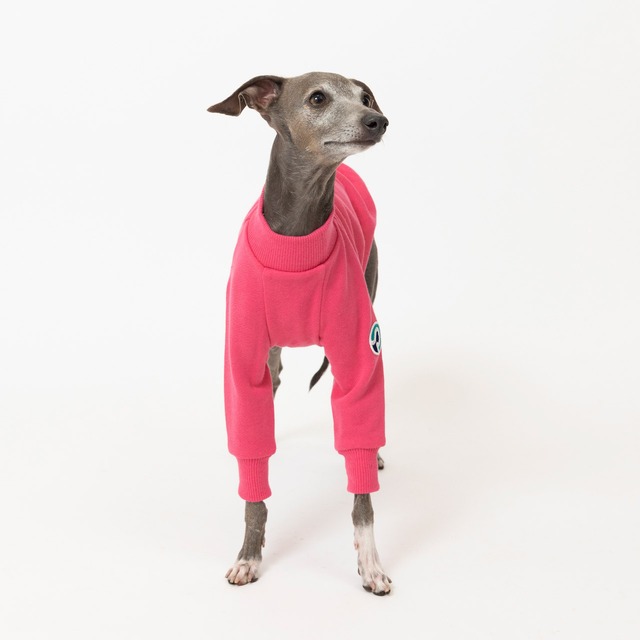 トレーナー2024　pink / イタグレ服