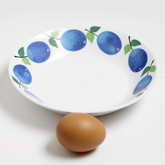 Gustavsberg グスタフスベリ Prunus プルーヌス 190mm 深皿 - 1 北欧ヴィンテージ