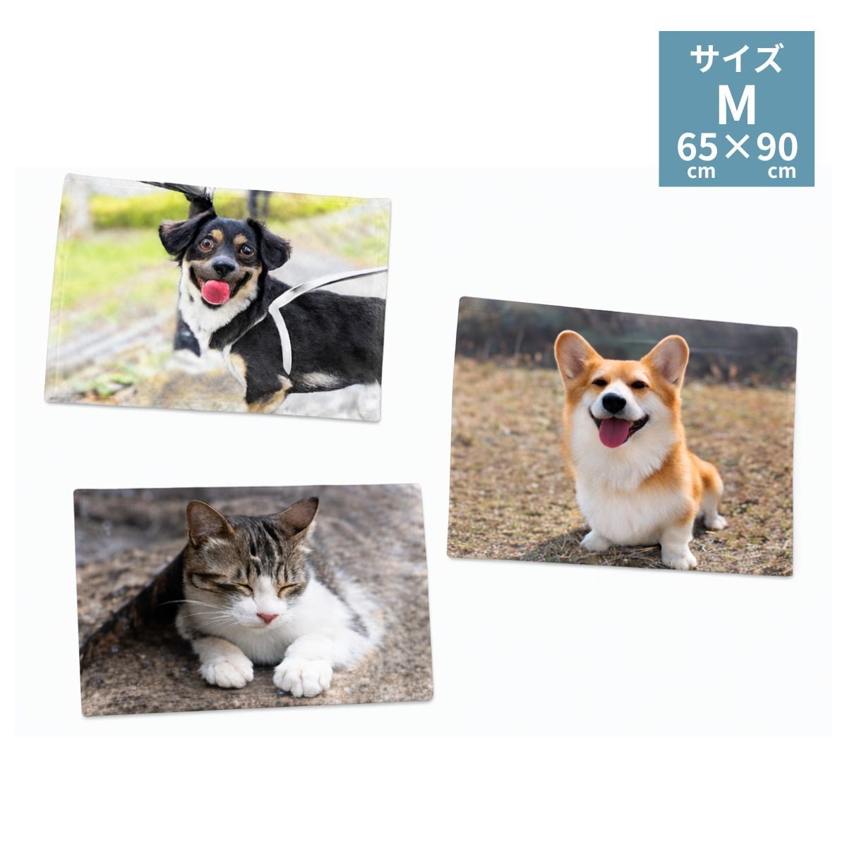 【おもいで】犬猫ブランケットMサイズ