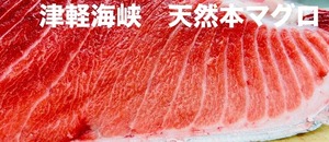 刺身用　最高級 天然本マグロ【津軽海峡　函館 戸井産　赤身・中トロ・大トロ】各200ｇセット（計600ｇ以上）本マグロの食べ比べ【送料込】