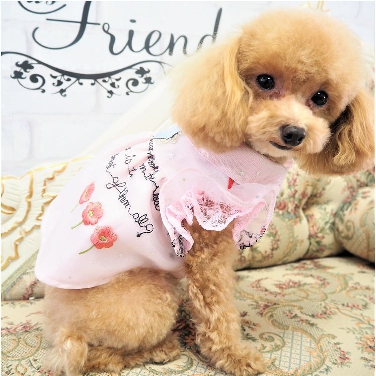 犬服　春夏服　花刺繍入り　チュールワンピ