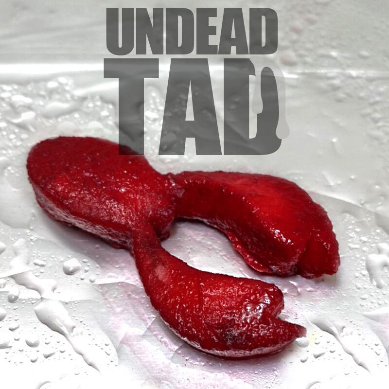 TAD PORK | UNDEAD ルアー販売