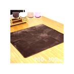 ラグ 撥水リラ 4畳 BE 200X300 200×300cm ラグマット カーペット 絨毯 撥水