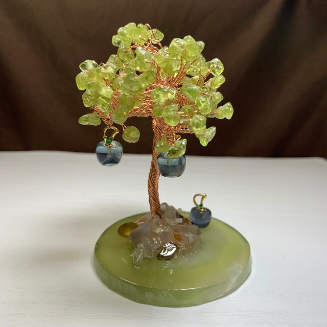 3.青いりんごがなる招財樹・ペリドット