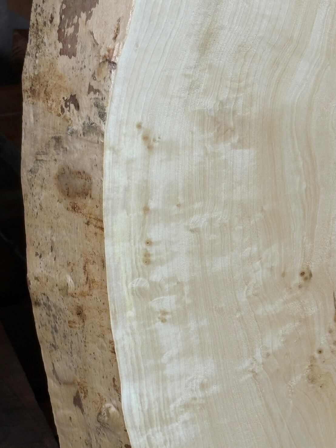 栃 G513-2 一枚板 乾燥材 カウンター テーブル DIY 耳付 天板 座卓