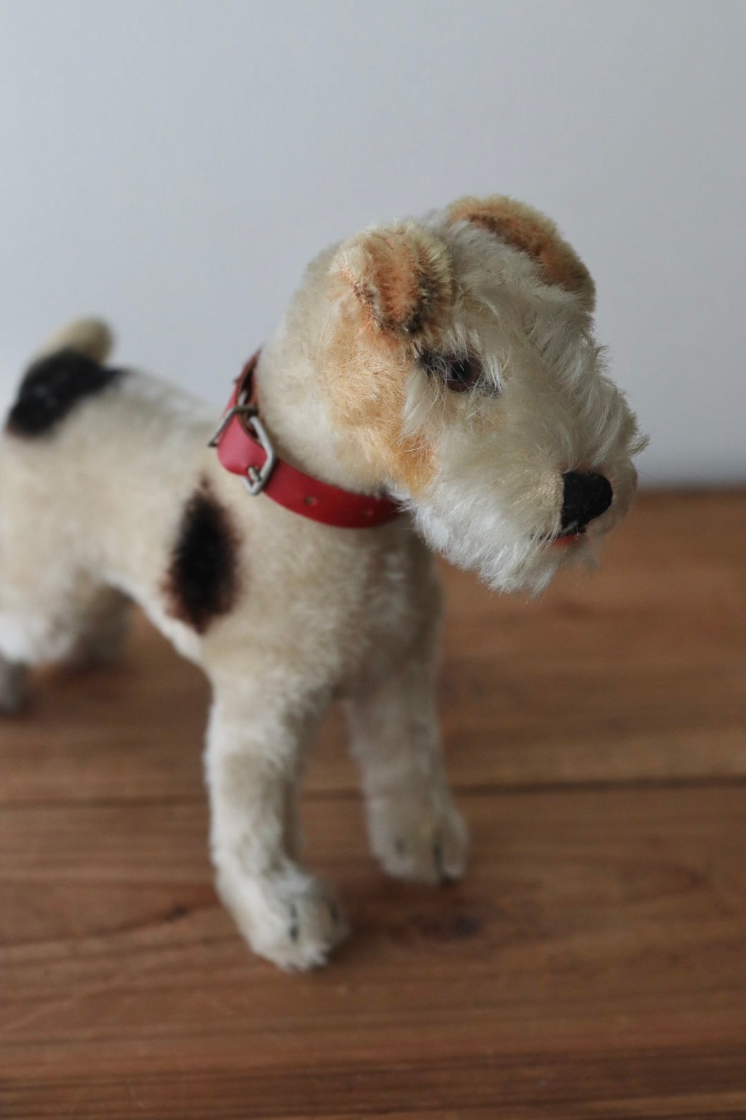 アンティーク シュタイフ 犬 ワイヤーフォックステリア Foxy 17㎝