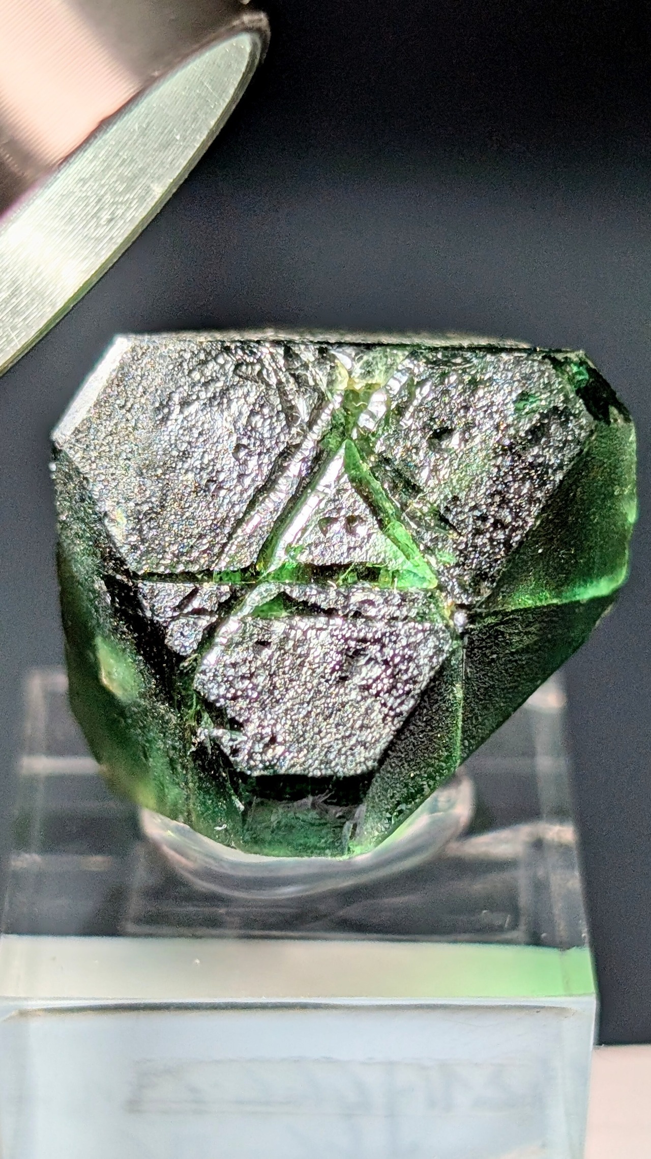 【8gac様専用】フローライト /ショール(ブラックトルマリン)  Erongo Mountains, Karibib District, Namibia    R5-5610729