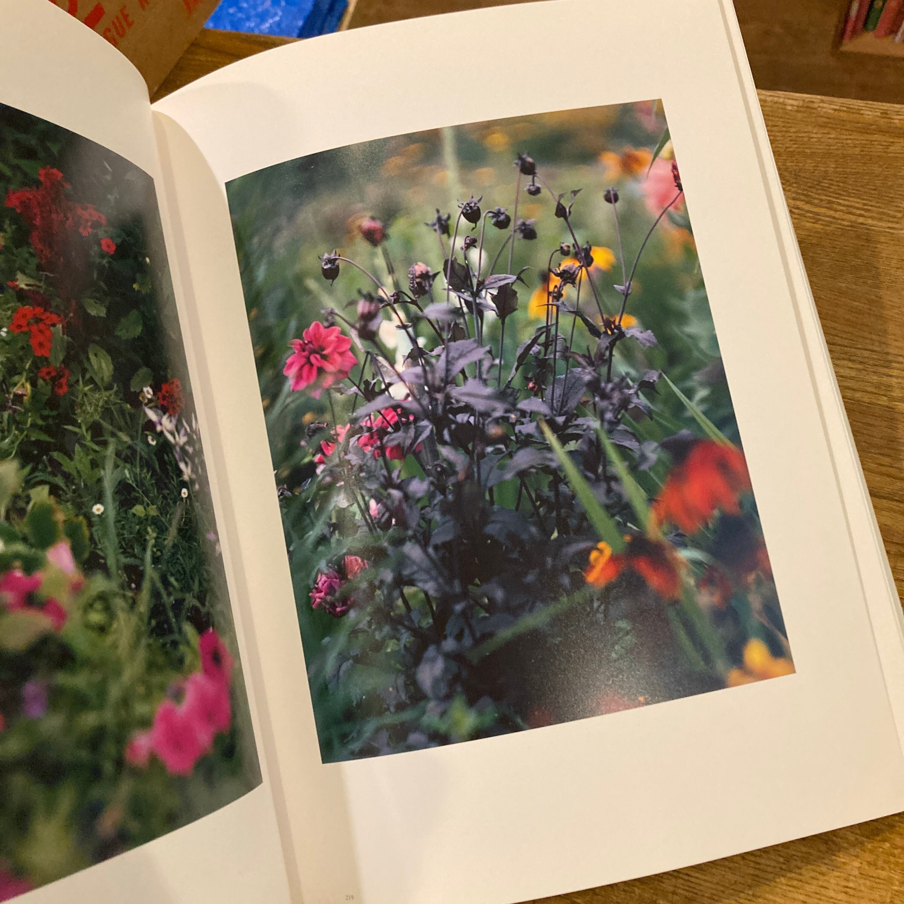 鈴木理策写真集 意識の流れ Stream of consciousness: Risaku Suzuki