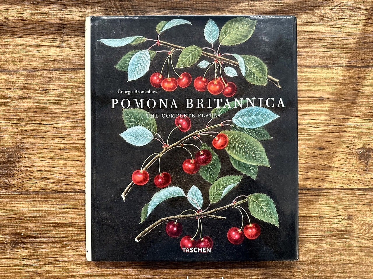 【VW162】Pomona Britannica /visual book