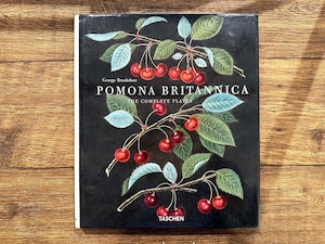 【VW162】Pomona Britannica /visual book