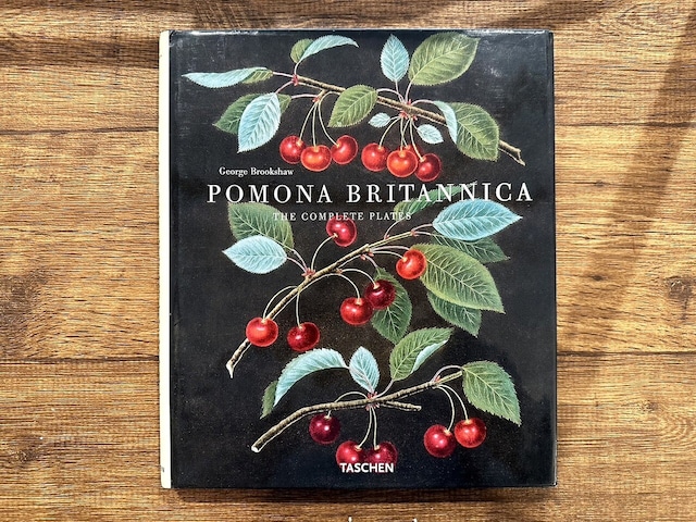 【VW162】Pomona Britannica /visual book