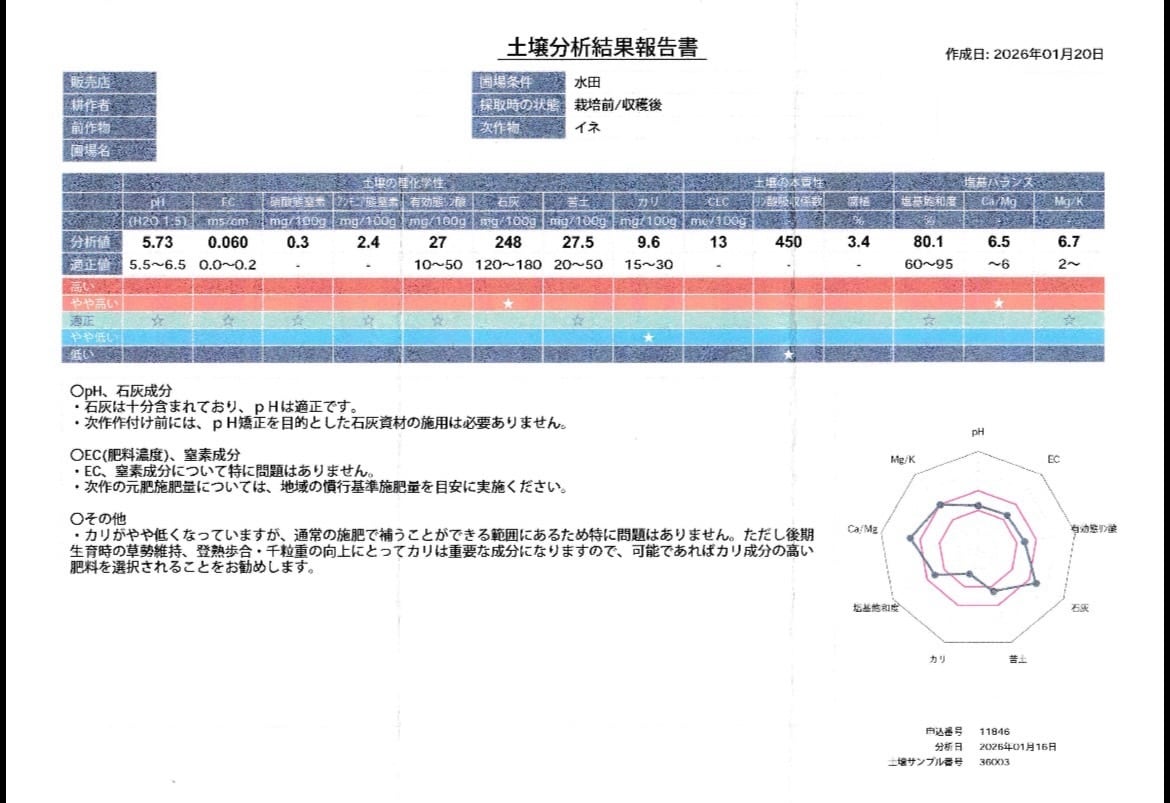 自然栽培 朝日米 3kg｜無農薬｜玄米・分づき米・白米｜岡山県倉敷産