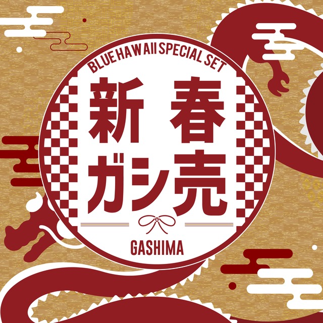 GASHIMA特別限定set.