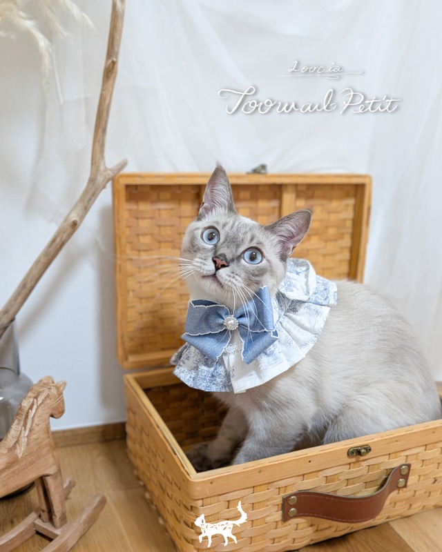 受注制作【Loocia】Toowal Petit Cape