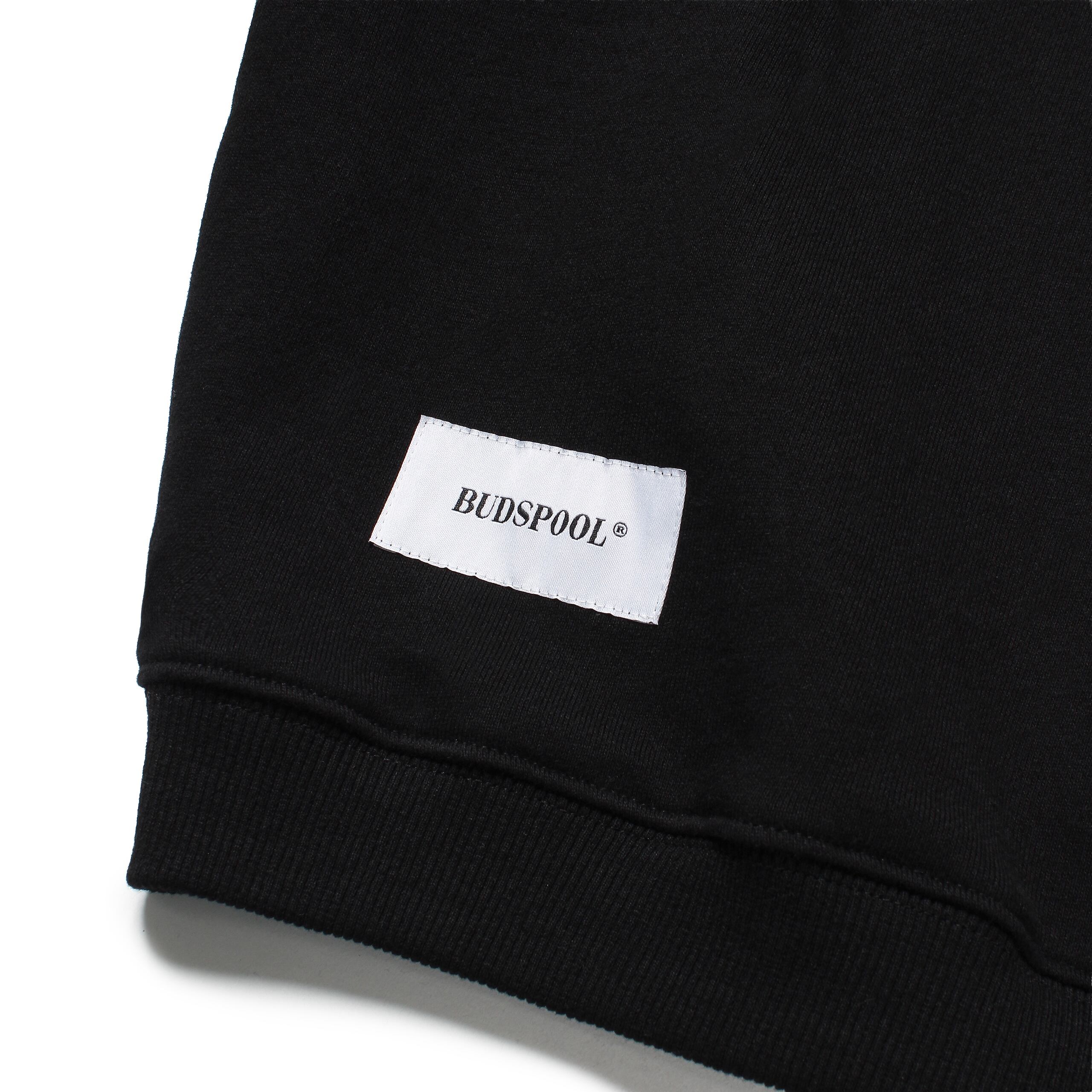BUDSPOOL EMBROIDERY SWEAT SHIRT | APHRODITEGANG HOLDINGS