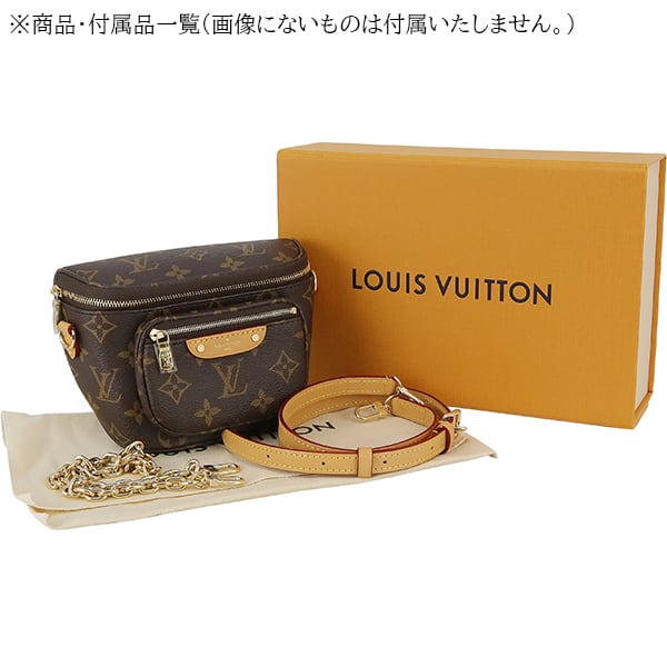 New LOUIS VUITTON ルイヴィトン ショルダーバッグ ミニバムバッグ