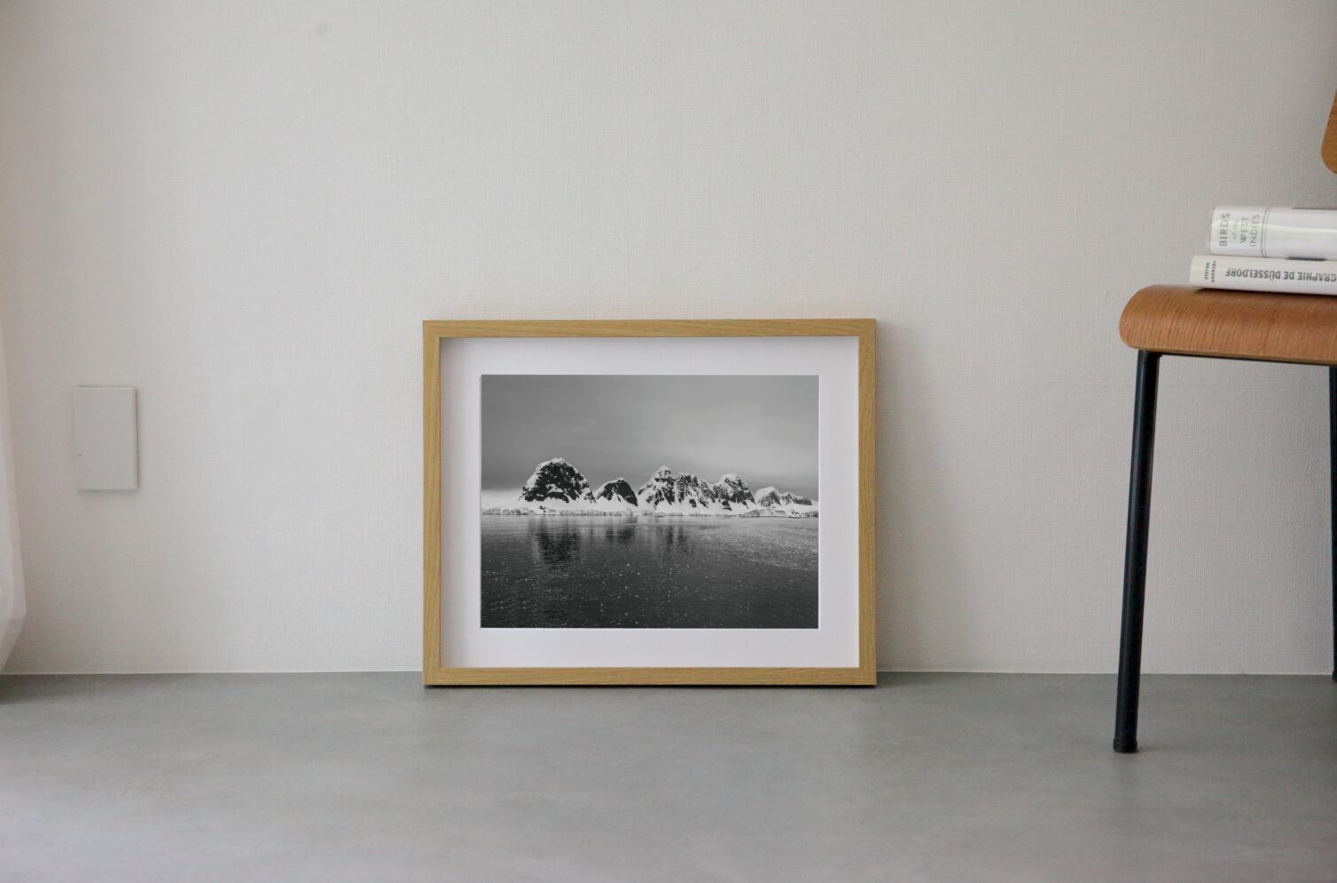 Hyoga #3 wooden frame 52cm×42cm付き ( M )