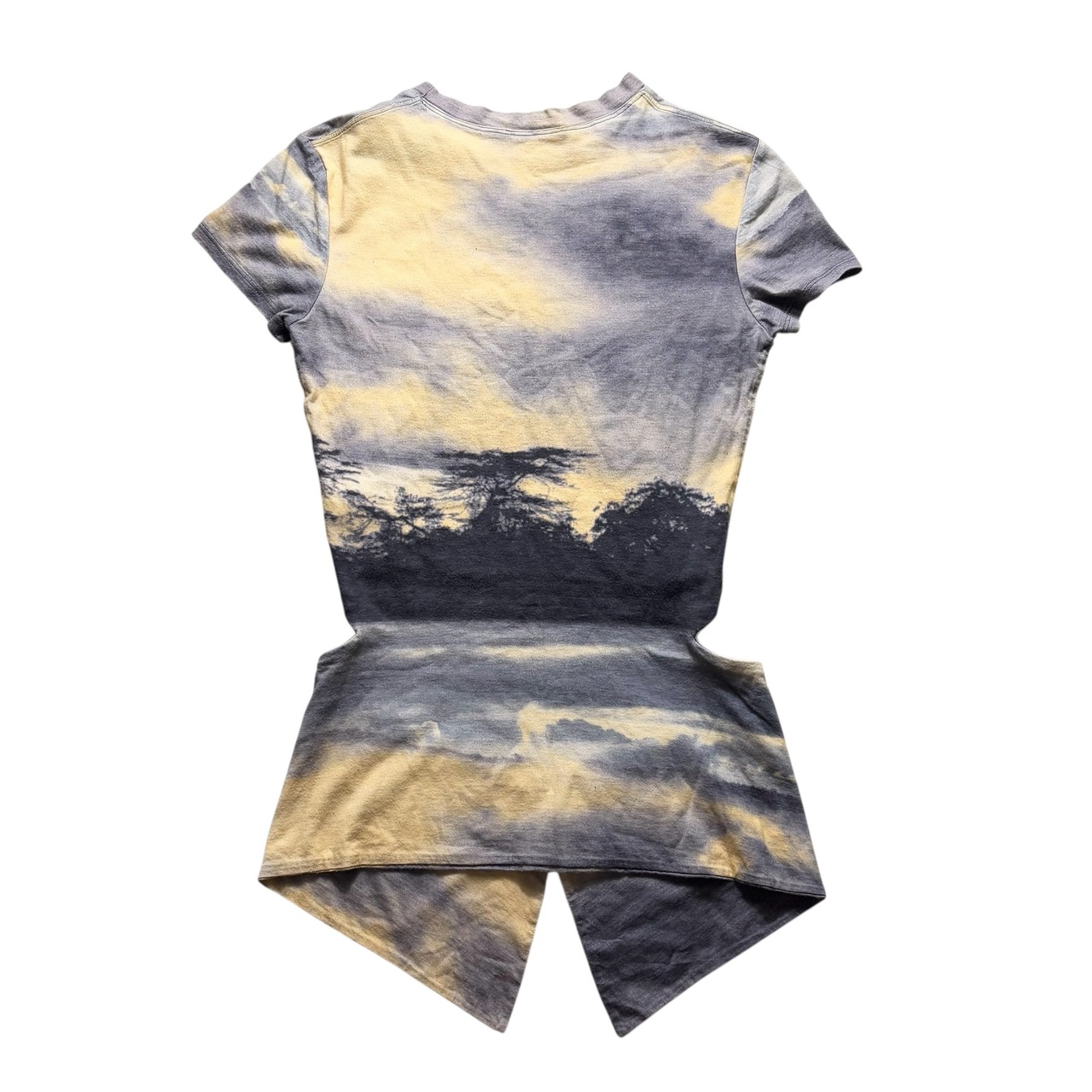 early ALEXANDER McQUEEN landscape aop cut&sewn