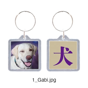 Key-ring (18 types)