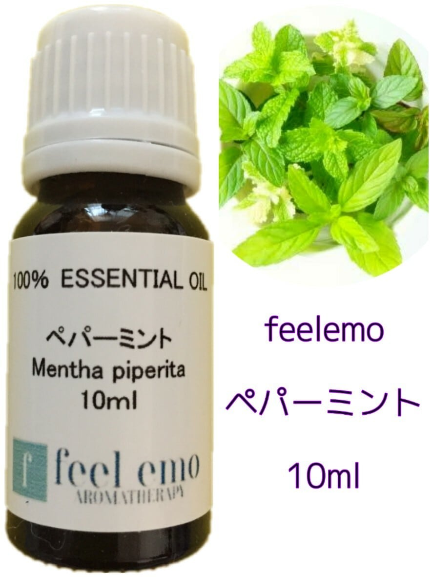 ｱﾛﾏｵｲﾙ サンダルウッド 5ml (エッセンシャルオイル・精油) | ハーブと