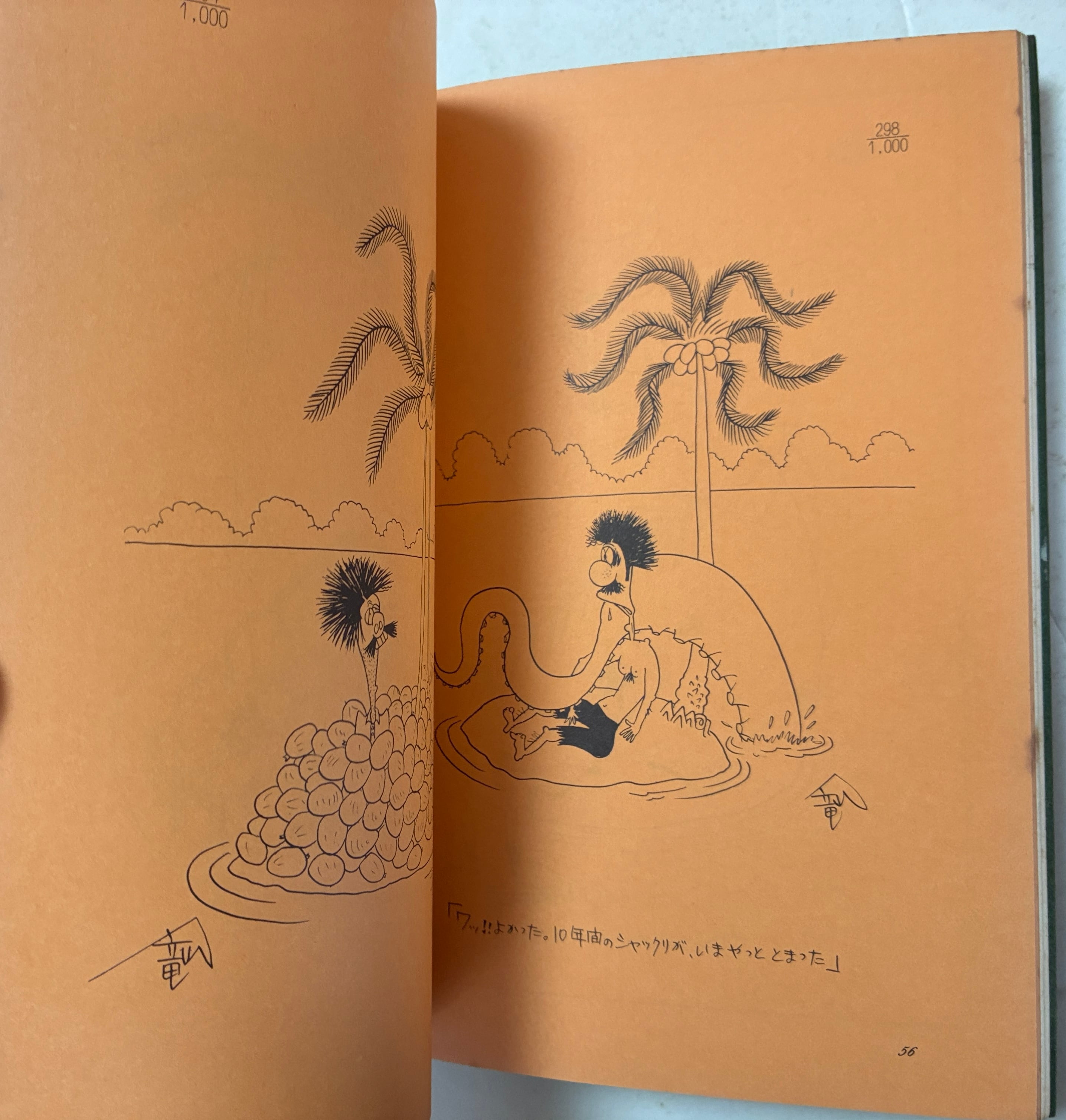 秋竜山のロビンソンクルーソー 1978年 初版 大陸書房 | トムズボックス