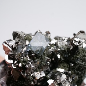 ヤオガンシャン産 フローライト / パイライト / 原石 標本