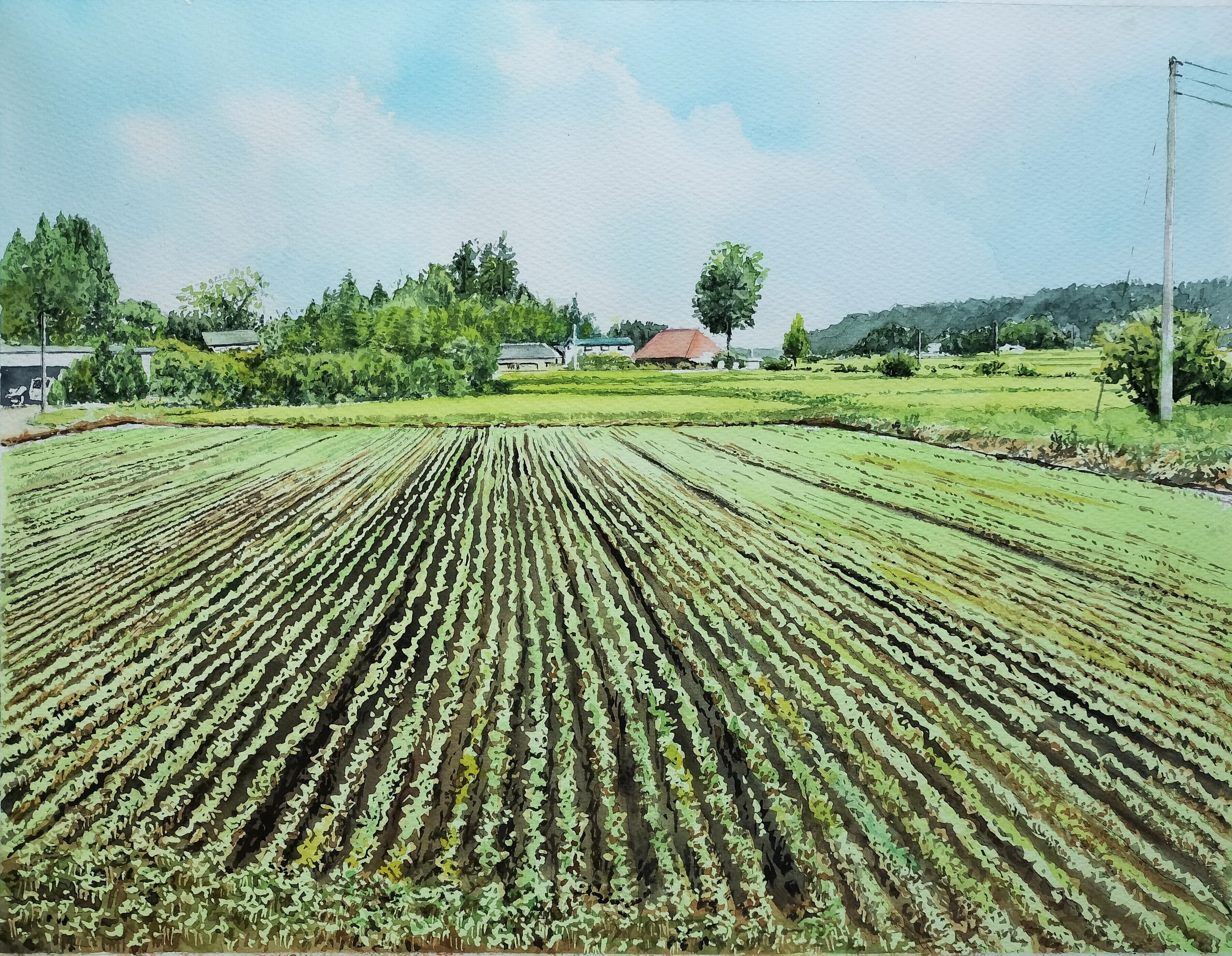 SOLD OUT 水彩画 風景画 画題「_虹色の落水」 | Pay ID