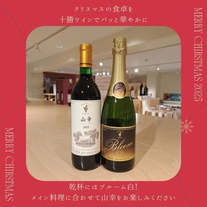 2025 クリスマス スペシャルセット