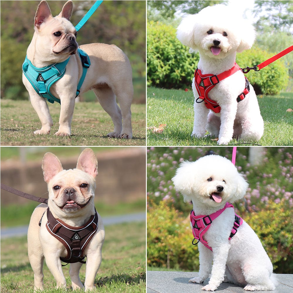 送料無料 ハーネスとリーシュセットペットアクセサリー犬用ハーネス