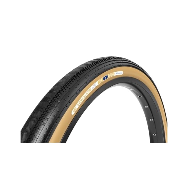 softech ソフテック ソフトボード Lil Ripper リル リッパー [6'0