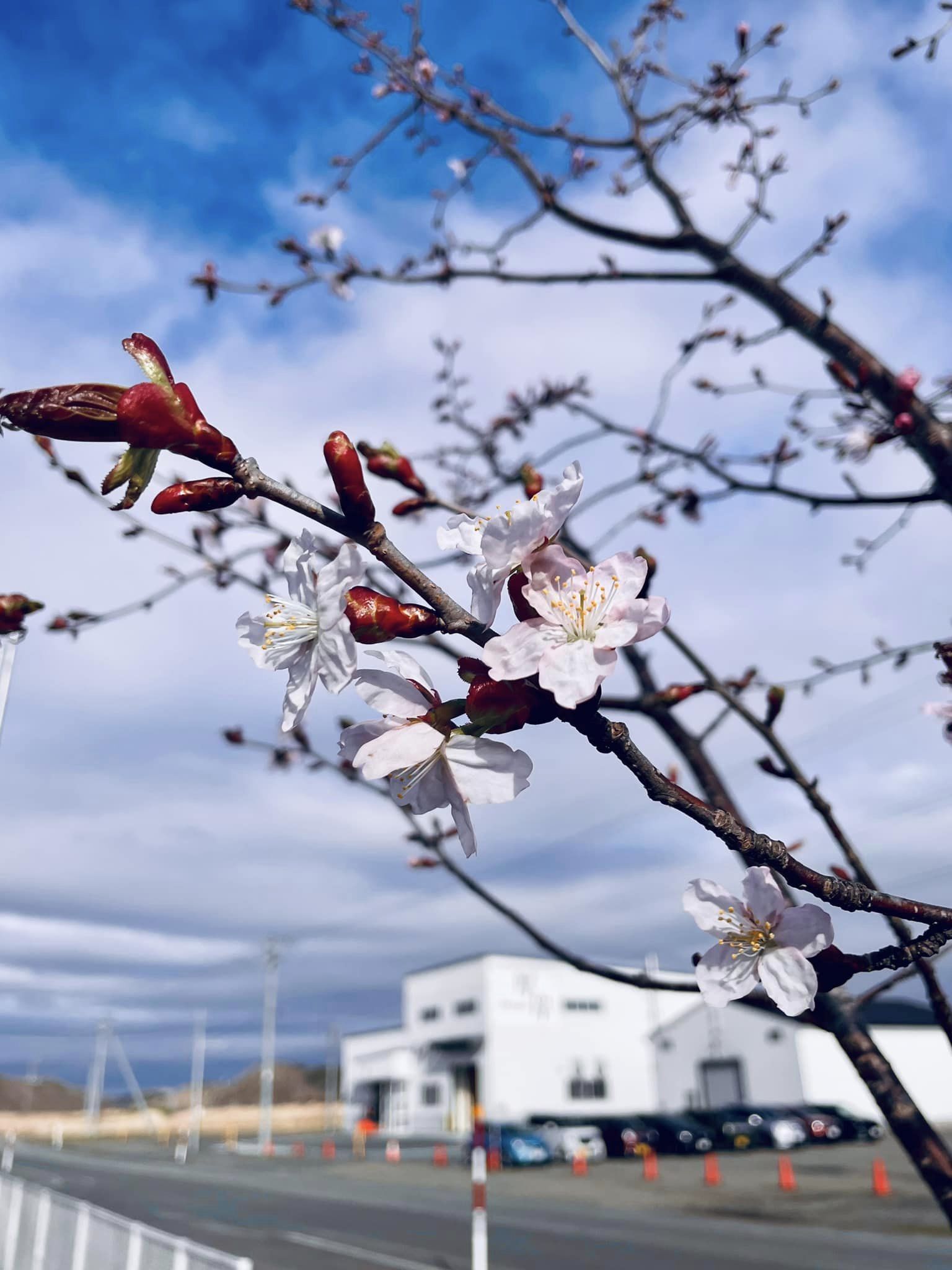 厚岸蒸溜所 二十四節気シリーズ 穀雨（Kokuu) ブレンデッド 48