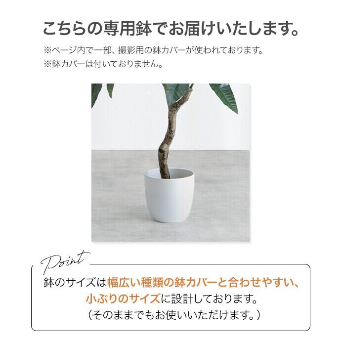 家具A】高さ120cm Nature 光触媒人工観葉植物 ベンジャミン
