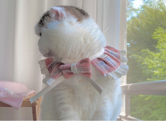 即納 リトルプリンセス起毛チェックケープ＆ヘアピン 2set / 2color【韓国ブランドDALDANG】