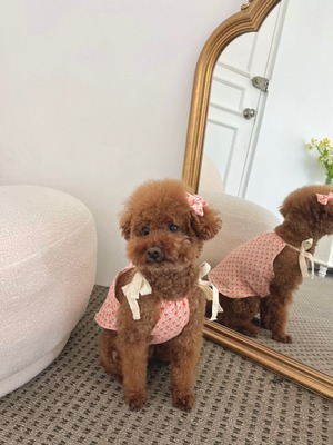 予約【pecoramou select】ALOHA OPS  COUPLE LOOK