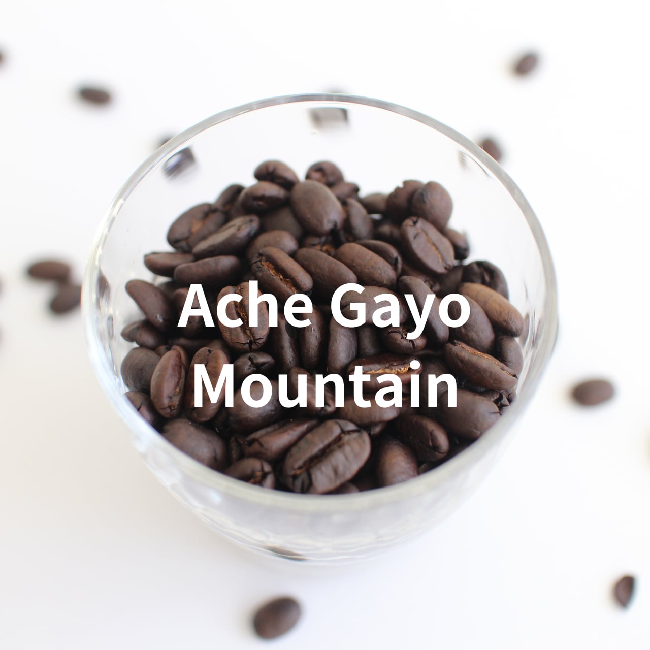 インドネシア アチェ ガヨマウンテン コーヒ-豆 200g