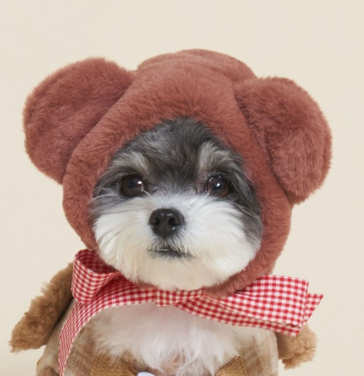 XL/即納【meaningless】Check Ribbon Hat (Brown)