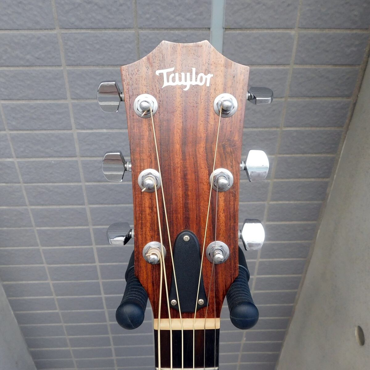 ギター Taylor Japan Limited Model: 110 中古 Taylor テイラー 110 JPN LTD 2016 ギグバック付き | マルヤ