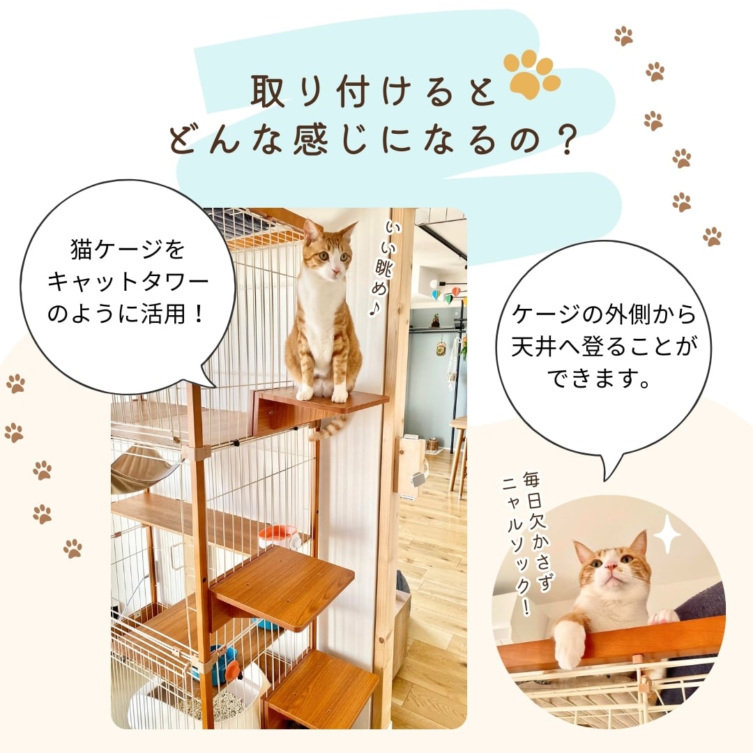 メーカー直送品【ienekoケージオプション（猫ステップ スリム