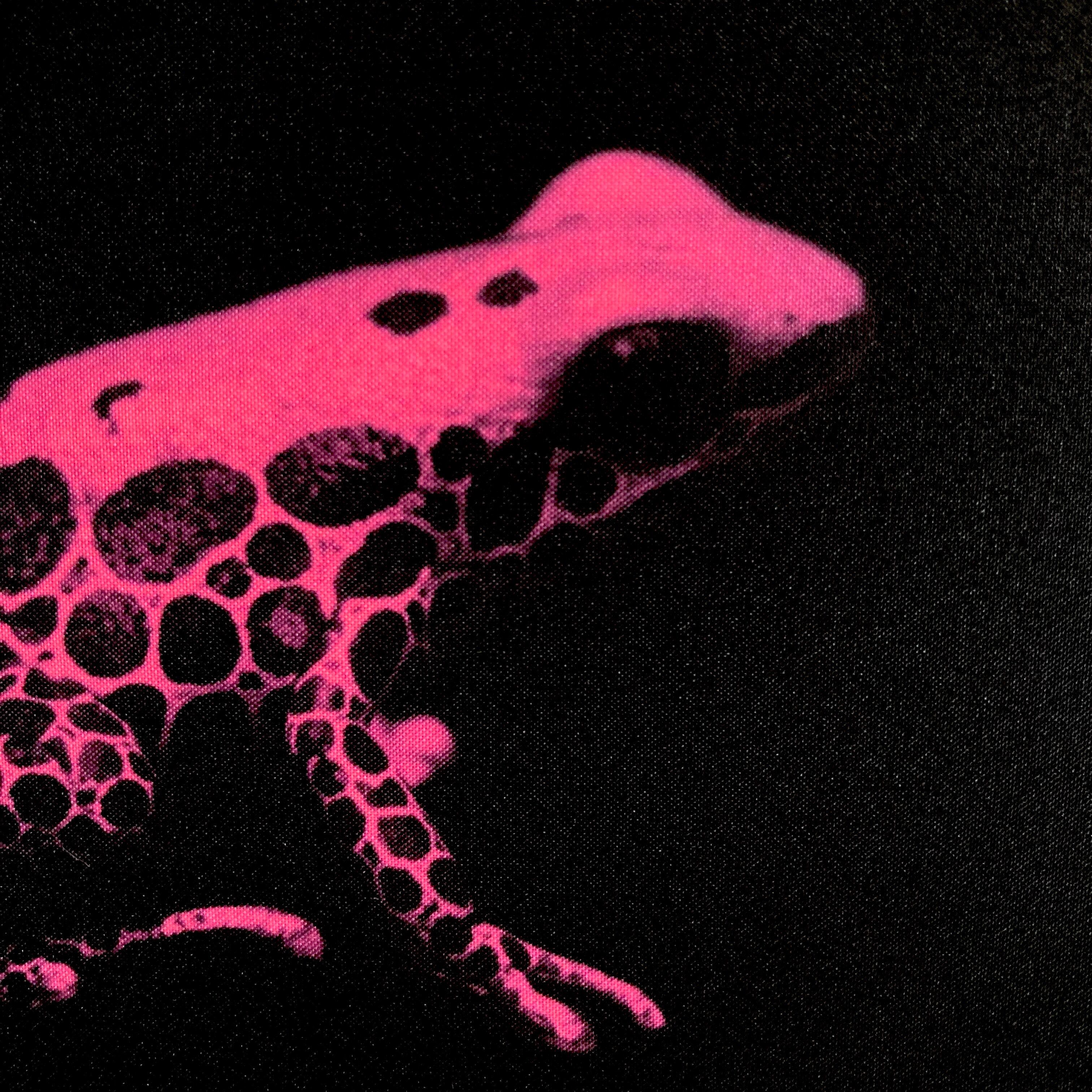 35b263062186495860ad6a17ab76ac