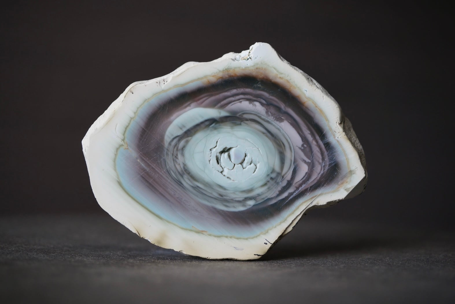 マ*キ様 シェルオパール 5.95ct ツノガイ 鉱物標本 マ*キ様 シェルオパール 5.95ct ツノガイ 鉱物標本 - メルカリ