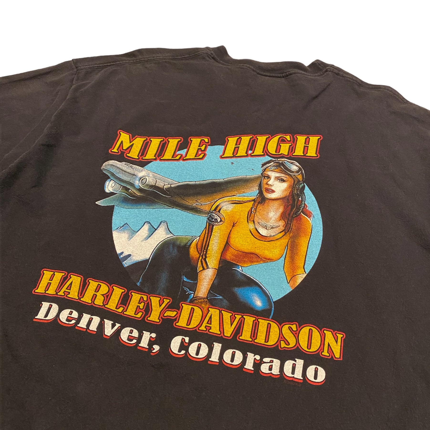 80s ヴィンテージ HARLEY DAVIDSON Tシャツ ハーレー XL