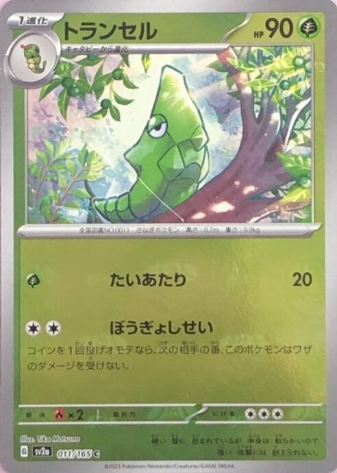 【Bランク】トランセル(マスターボールC)