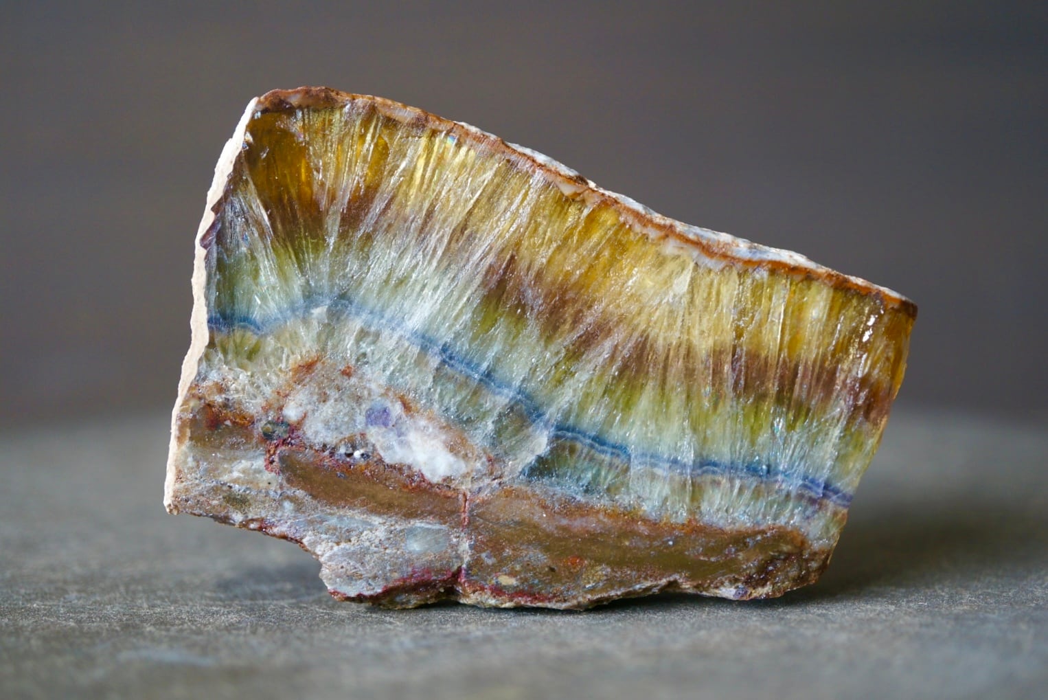 5000~¥10000 | 叙景 jokei