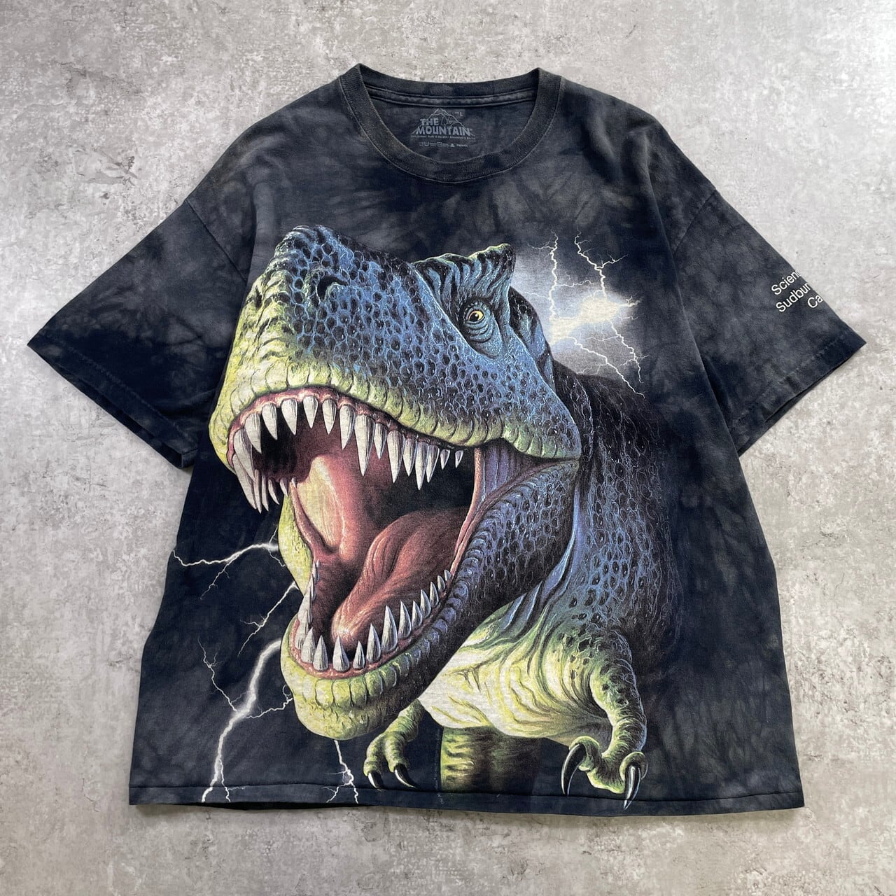 THE MOUNTAIN T-REX ティラノサウルス 恐竜 タイダイ Tシャツ